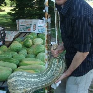 Meet your Posher, Caleb